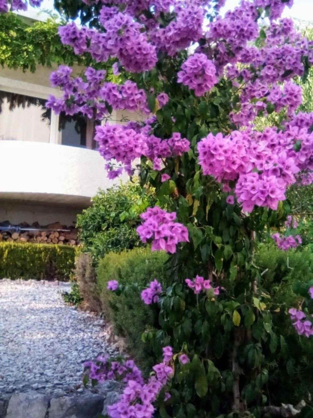 With A Parking Space - 22490 Apartment *
